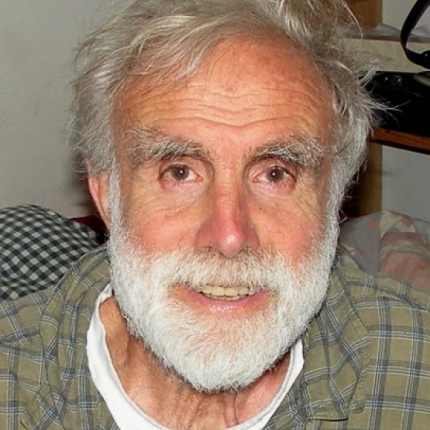 David - 2009