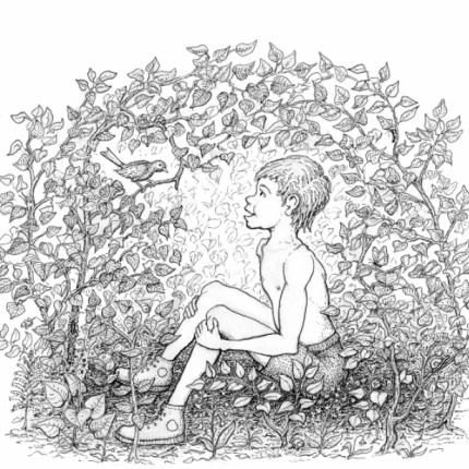 Hiding Dream