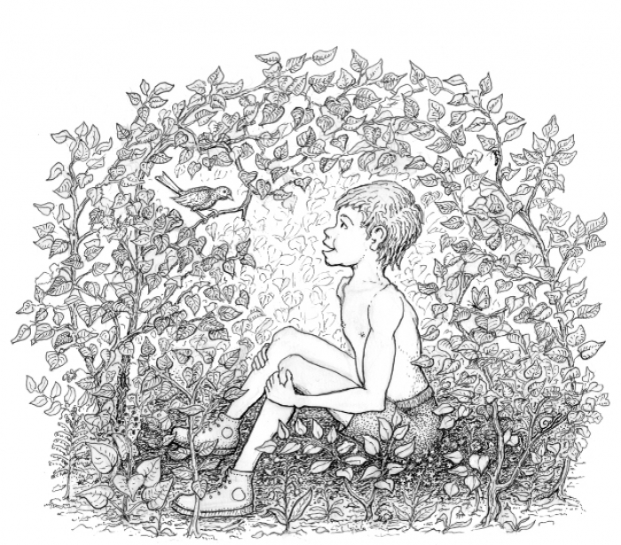 Hiding Dream