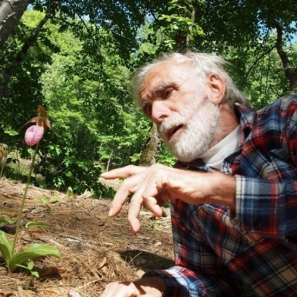 David looking at a lady slipper