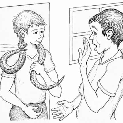 Pet Snake