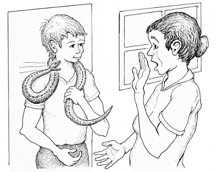 Pet Snake