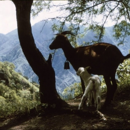 The Sierra Madre