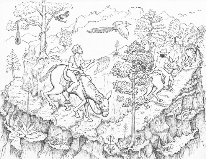 On the Trail