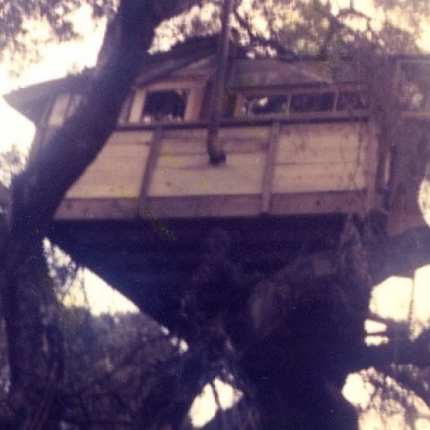 Tree House