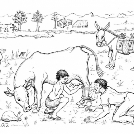 Milking the Cow