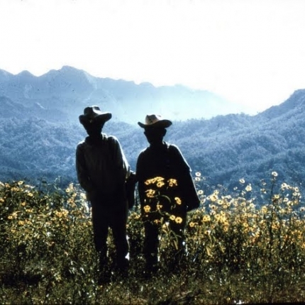 After the Monsoon