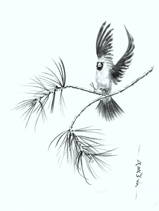 Cardinal
