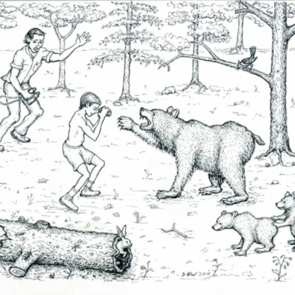 The Bear