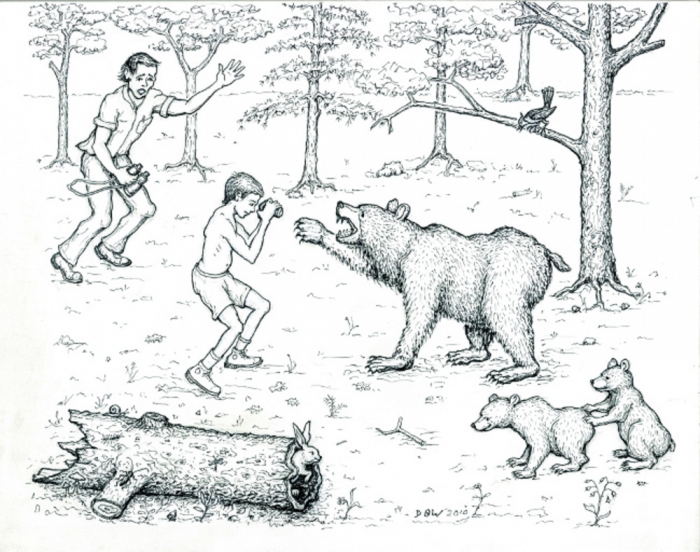 The Bear