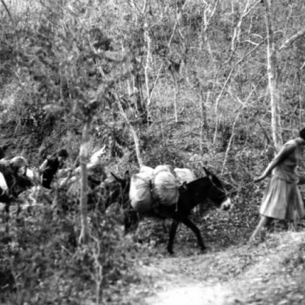 Students in the Sierra Madre
