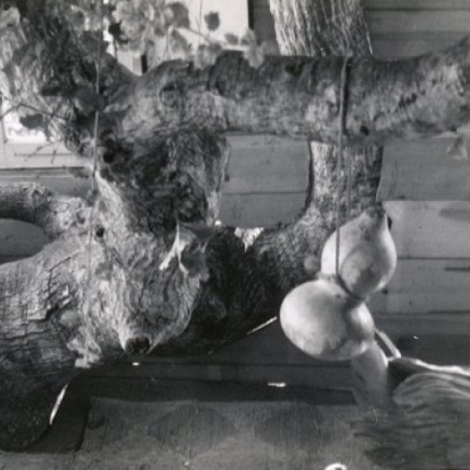 Interior of the Tree House