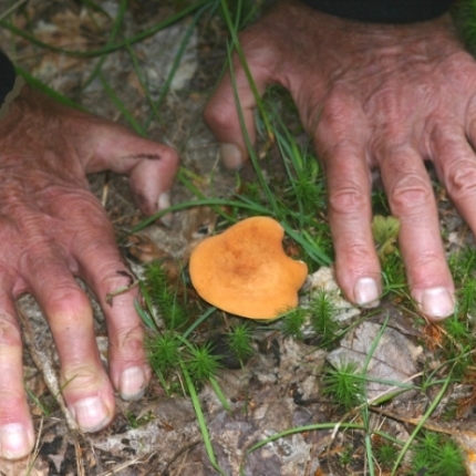 David Displaying a Mushroom