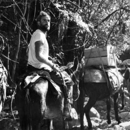 On a mule again